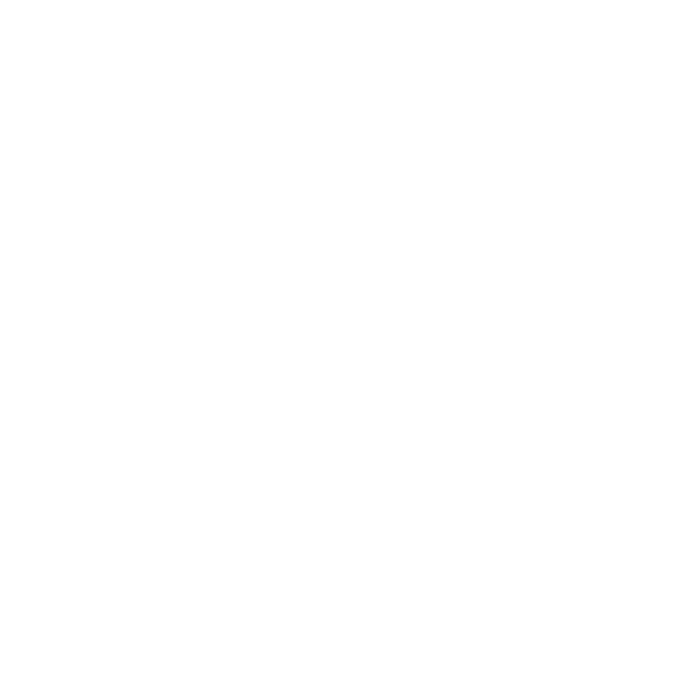 balivisas-logo-white
