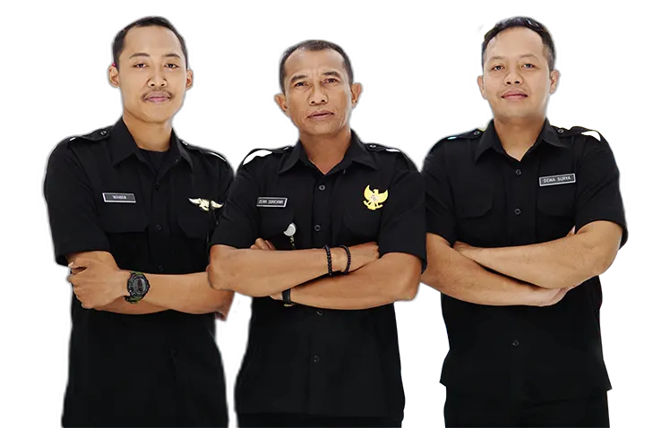 balivisas security team